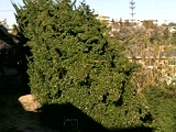 test 2